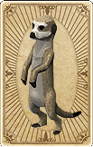 Scavenging Meerkat Card