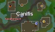 Canifis